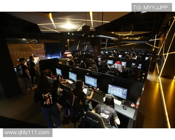 Danawa电子竞技绝地求生团队夺冠之路与未来发展展望